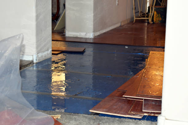 Professional Burst Pipe Cleanup technician working in Rimforest, CA